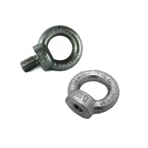 LIFTING EYES (GI & SS)