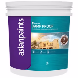 Asian Paint Berger SmartCare Damp Proof